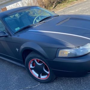 Mustang_Carbon_1