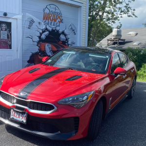 Stinger_Red_1